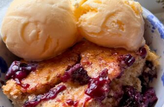 BLUEBERRY PUDDING CAKE – The Southern Woman Cooks